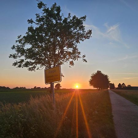 Ferienwohnung Birkenstrasse Ihlow  Esterno foto
